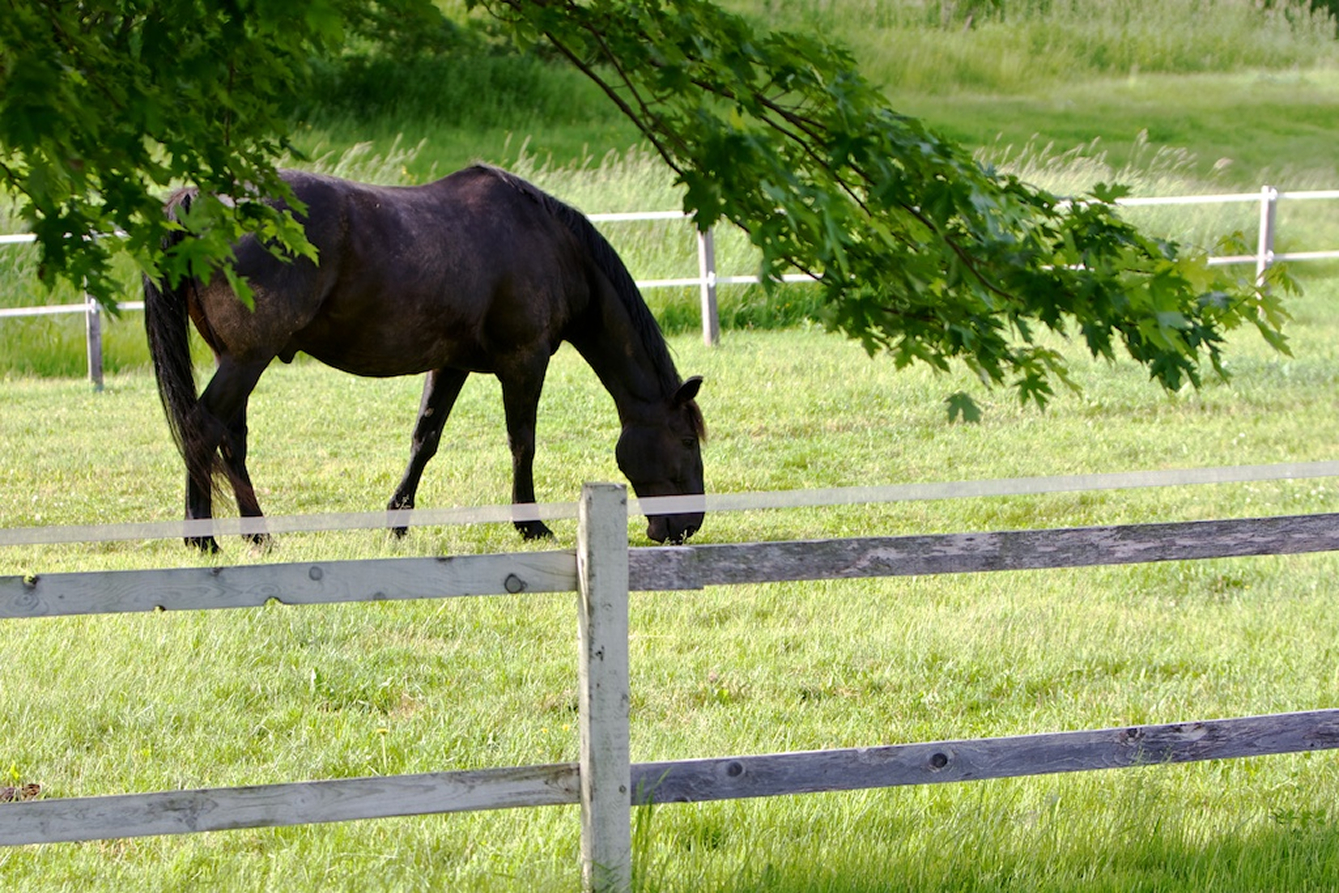 Fostering Safe Environments